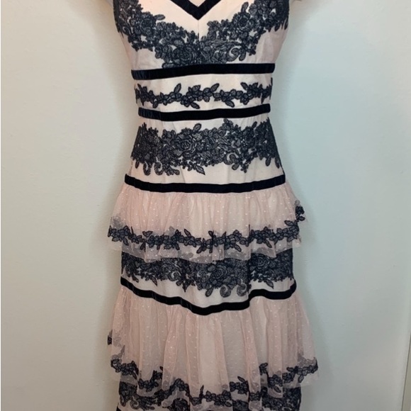 Elegant Pink and Black Tiered Dress - Picture 3 of 5